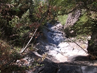 rrente Quarantore-20110911 041